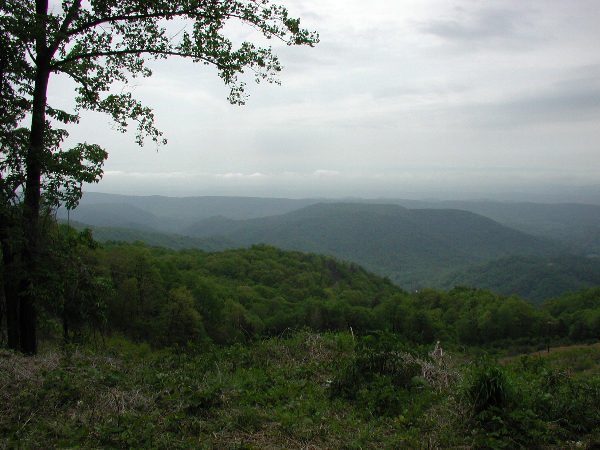 P5020007.JPG