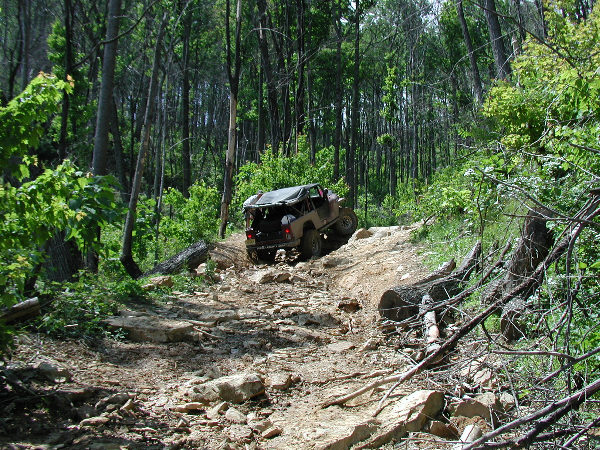 P5030044.JPG
