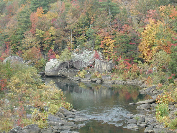 PA260031.JPG